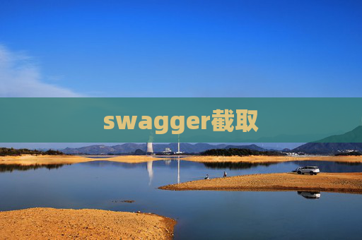 swagger截取